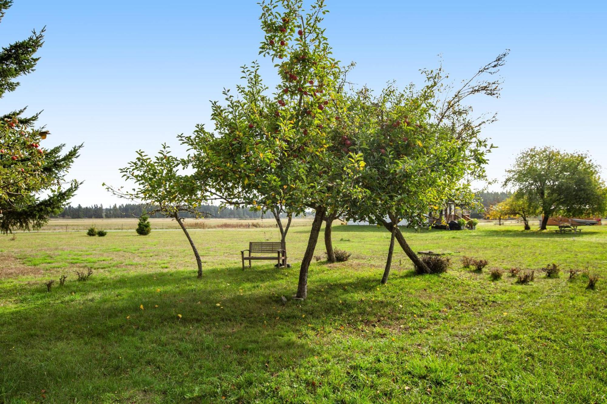 Historic Officer'S Farmhouse At Olf Coupeville Esterno foto