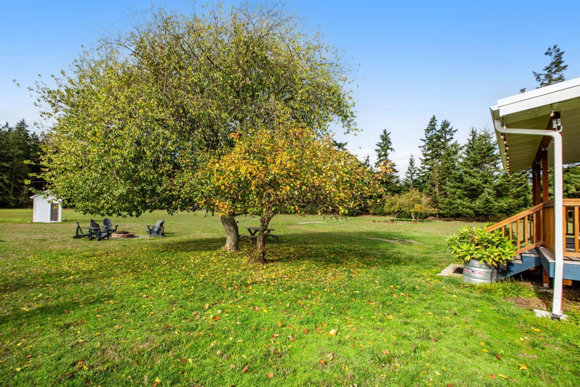 Historic Officer'S Farmhouse At Olf Coupeville Esterno foto